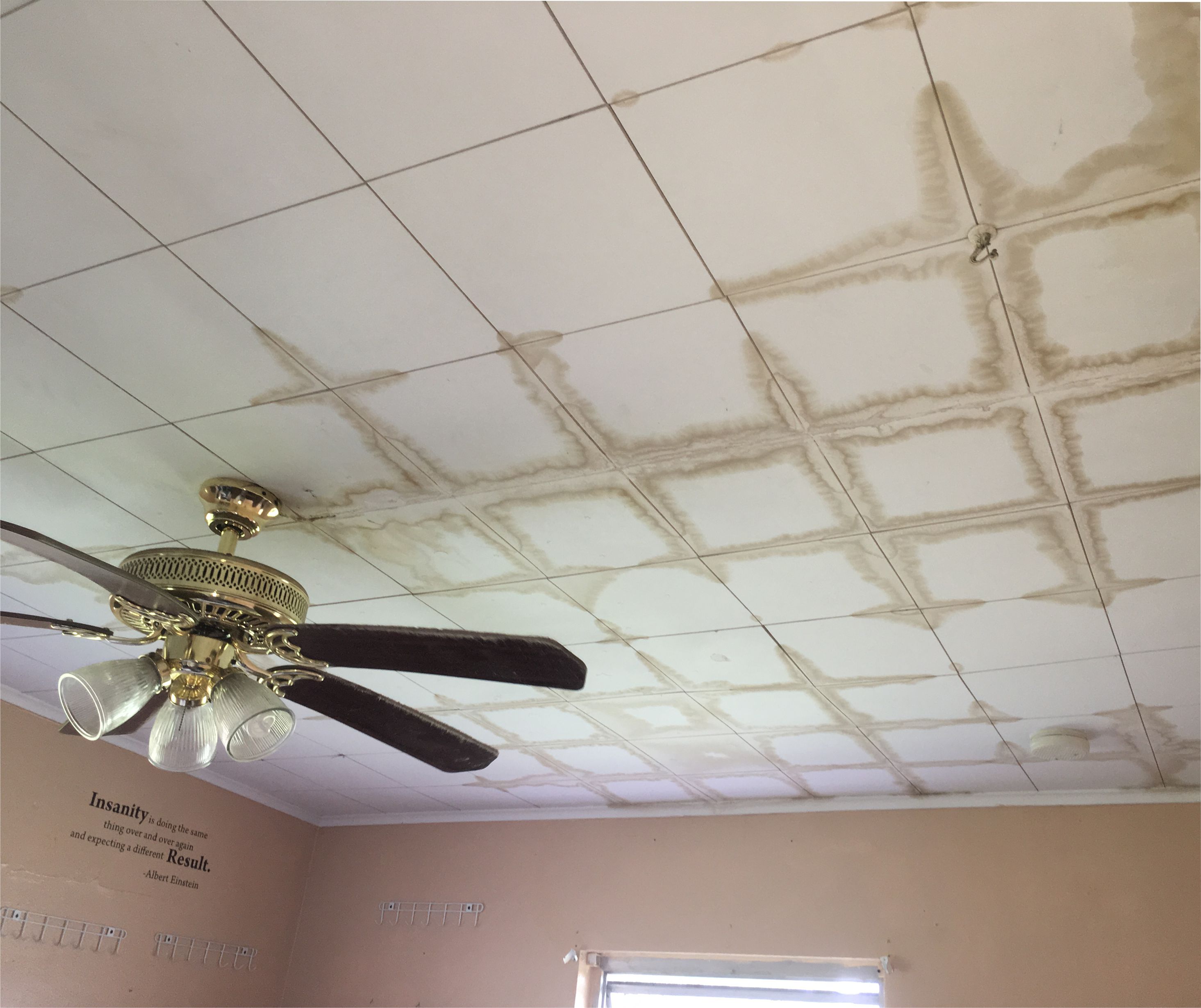 CEILING MOLD